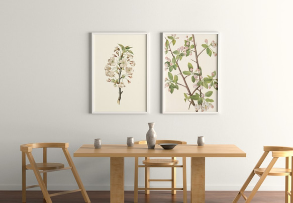 【NO.219】リンゴの木の花フラワーアートポスター☆植物ボタニカルヴィンテージナチュラル☆A5A4A3A2A1B5B4 5枚目の画像