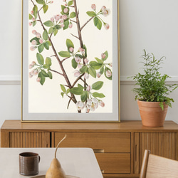 【NO.219】リンゴの木の花フラワーアートポスター☆植物ボタニカルヴィンテージナチュラル☆A5A4A3A2A1B5B4 8枚目の画像