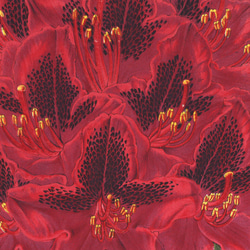 【NO.227】深紅のシャクナゲの花ラワーイラストアートポスター☆赤色植物ボタニカルチュラルインテリア★A4A3A2A1 4枚目の画像