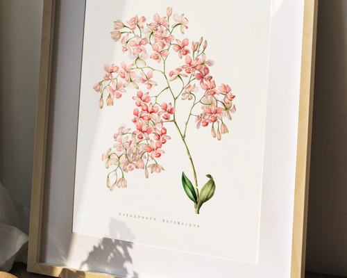 感謝の花(ポスター作品)