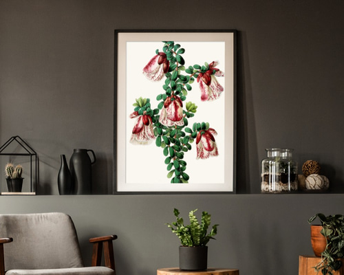 NO.236】独特で個性的なボタニカルの花フラワー絵画アート