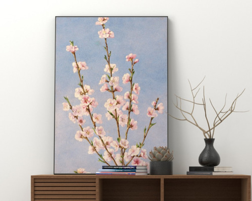 NO.240】桃の花フラワーイラストアートポスター☆絵画植物ボタニカル