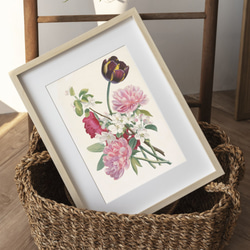 【NO.243】チューリップ芍薬林檎の花の花束ブーケフラワーアートポスター☆母の日植物ナチュラル雑貨★A3A2A1B2L 1枚目の画像