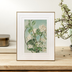 柔らかな雰囲気のボタニカルアート　植物画　ポスター　検）モモナチュラル 2ea3213b81b29b70fff9cd94b203ba