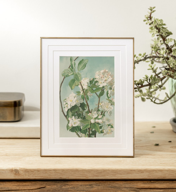 NO.246】リンゴの木の花フラワーアートポスター☆絵画植物
