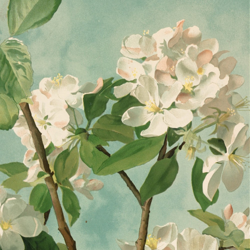 フラワーアート絵画 Amazon.co.jp: Kunstorner 油絵花 花の絵画 おしゃれ ブーケ