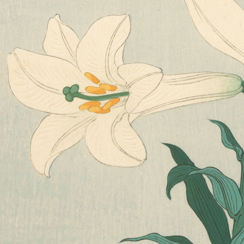 日本画 花の絵 版画　昭和レトロ　アンティーク NO.319】白椿の花鳥図日本画アートポスター和柄☆鳥ボタニカル
