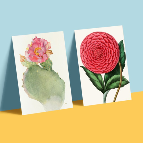 サボテンと花の日本画　肉筆画（額とガラス板付き)