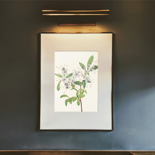 NO.275】シャビーシックなアゼリアの花フラワーアートポスター☆ツツジ