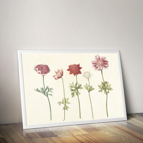 絵画　花　アネモネ　木製額装 c6d78631044863042a6ffeaabc22c9