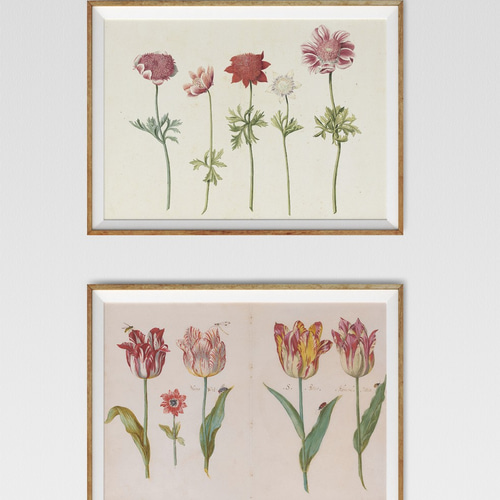 絵画　花　アネモネ　木製額装 楽天市場】HANAE アートフレーム「ファミリー」花の絵 洋風 風水