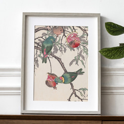 インコ　日本画　絵画 楽天市場】インコ（日本画｜絵画）：アート・美術品・骨董品