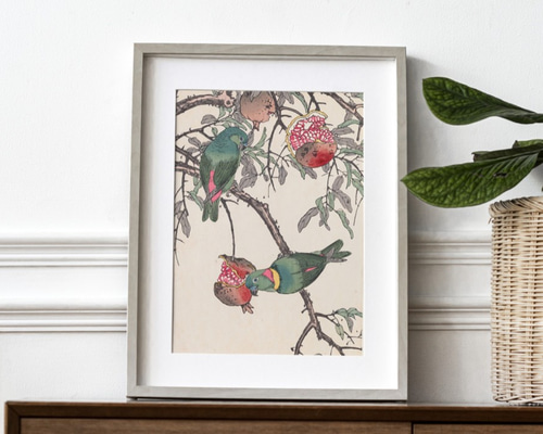 インコ　日本画　絵画 0_ed9690f7ce2ed4d3441ab14a639b