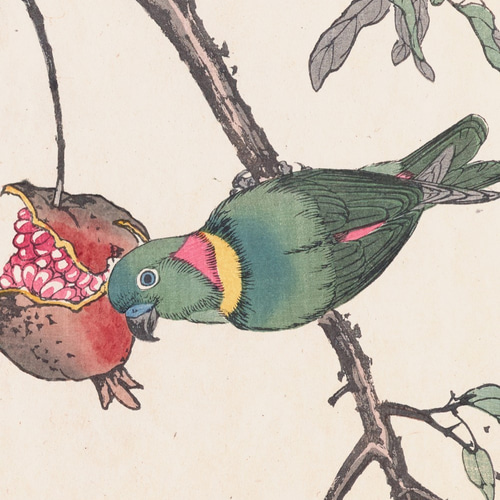 インコ　日本画　絵画 秋に 柘榴とインコ日本画アートポスターお正月浮世絵和室インテリア和