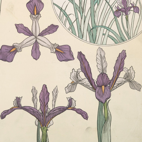 原画 フラワーアート 花の絵 花柄 ボタニカル 花図鑑　花　ガーデン 紫陽花 原画 フラワーアート 花の絵 花柄 ボタニカル 花図鑑 花