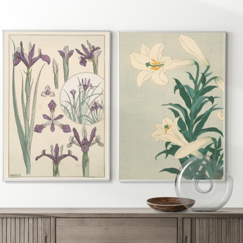 NO.300】紫色のアヤメの花フラワーアートポスター☆絵画植物ボタニカル