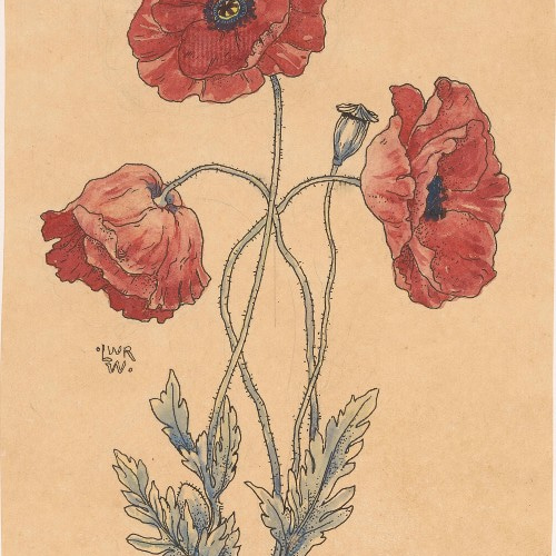 NO.301】赤色のポピーの花フラワーアートポスターノスタルジック