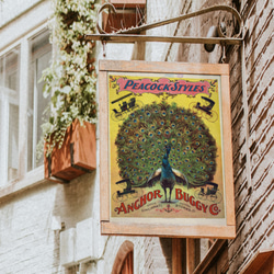 NO.302】孔雀の広告アートポスター☆ピーコック絵画サーカス