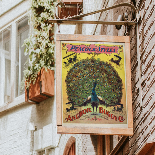 NO.302】孔雀の広告アートポスター☆ピーコック絵画サーカス