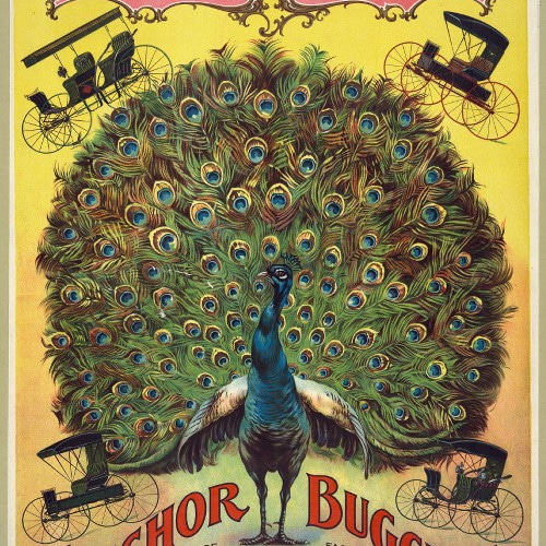 NO.302】孔雀の広告アートポスター☆ピーコック絵画サーカス