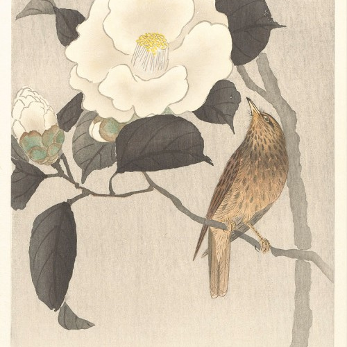 NO.319】白椿の花鳥図日本画アートポスター和柄☆鳥お正月和