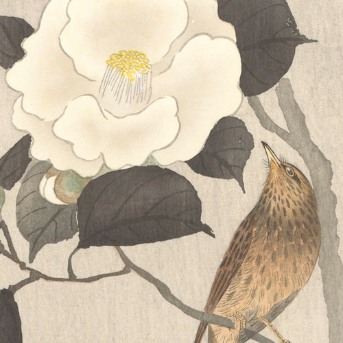 NO.319】白椿の花鳥図日本画アートポスター和柄☆鳥お正月和