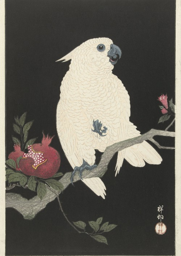 【NO.320】白いオウムと柘榴の日本画アートポスター鳥和柄☆和モダンお正月昭和レトロ和室インテリアB4B3B2A2A1 2枚目の画像