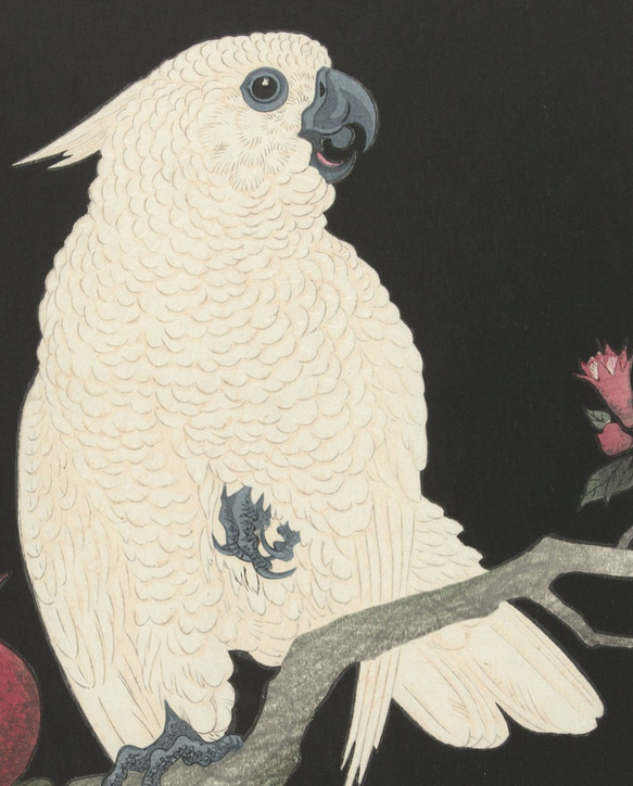 【NO.320】白いオウムと柘榴の日本画アートポスター鳥和柄☆和モダンお正月昭和レトロ和室インテリアB4B3B2A2A1 3枚目の画像