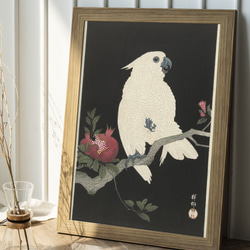 【NO.320】白いオウムと柘榴の日本画アートポスター鳥和柄☆和モダンお正月昭和レトロ和室インテリアB4B3B2A2A1 8枚目の画像