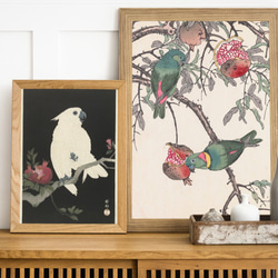 【NO.320】白いオウムと柘榴の日本画アートポスター鳥和柄☆和モダンお正月昭和レトロ和室インテリアB4B3B2A2A1 6枚目の画像
