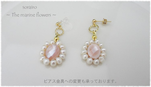 花盛開的海的故事耳環/粉紅色外殼，淡水珍珠/ Nonhorupiasu /（耳環允許） 第4張的照片