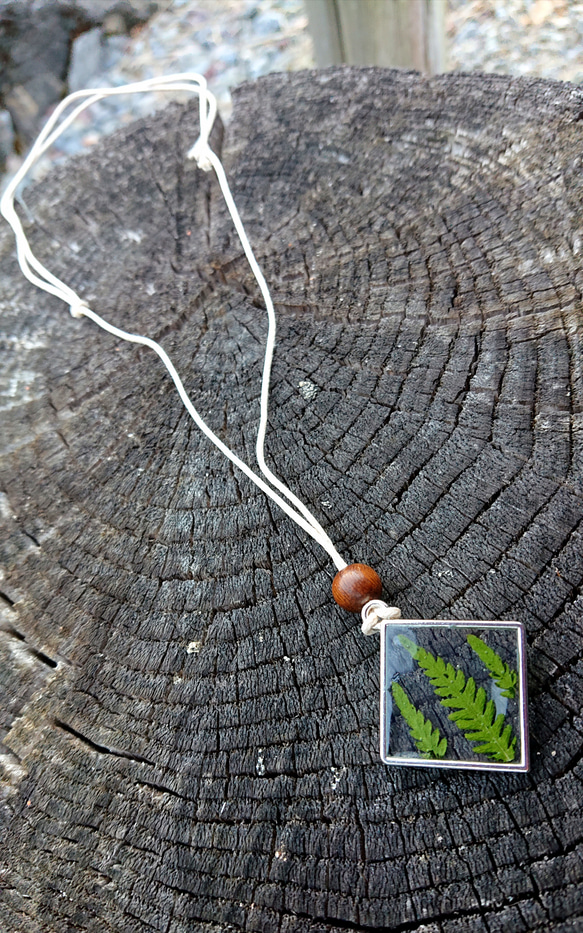 シダ植物の標本風ネックレス 3枚目の画像