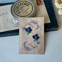 青い実/ 2枚セット/刺繍アイロンワッペン 2枚目の画像