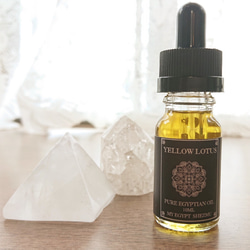 エジプシャンオイル 10ml ブルーロータス Blue Lotus in Egypt 🇪🇬 . ブルーロータスのエジプシャン
