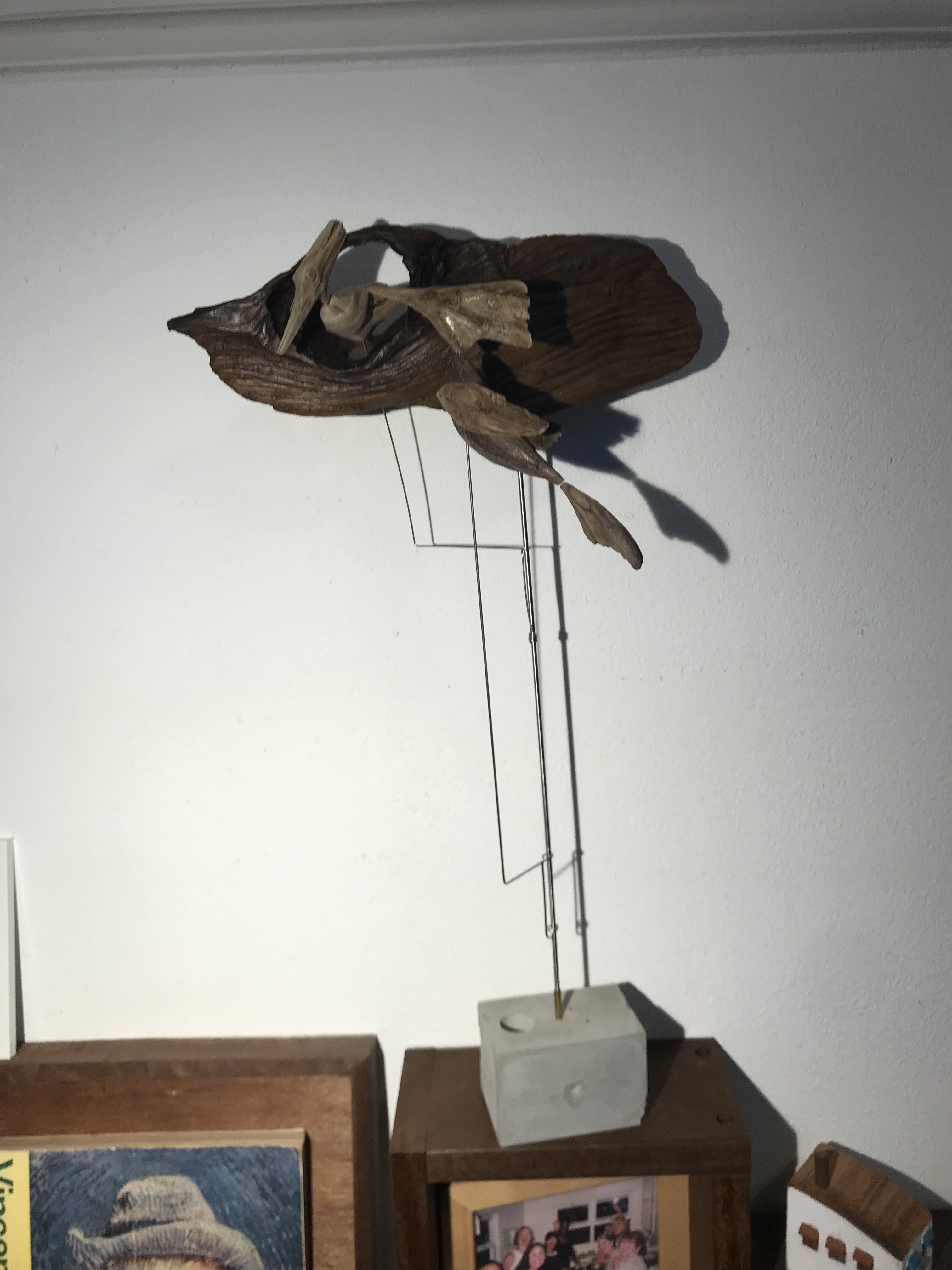 ウッドペッカーの夫婦