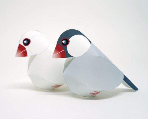 1/6 メイ　桜文鳥　イベント限定品　イラスト　写真３枚　初出物 0_ea4678ed53b187dac6da3a10efdd