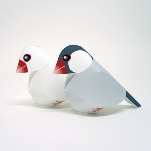 限定価格セール！ シナモン鳥とシルバー文鳥のペーパークラフト ポストカード 2枚 食器