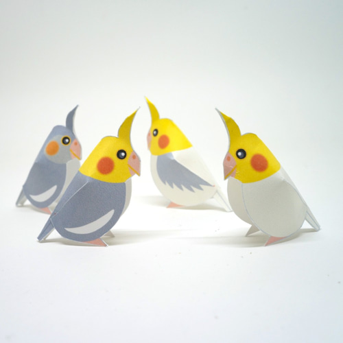 オカメインコさま専用ページ EC-CUBE SHOP / オカメインコ ノーマル (5873)