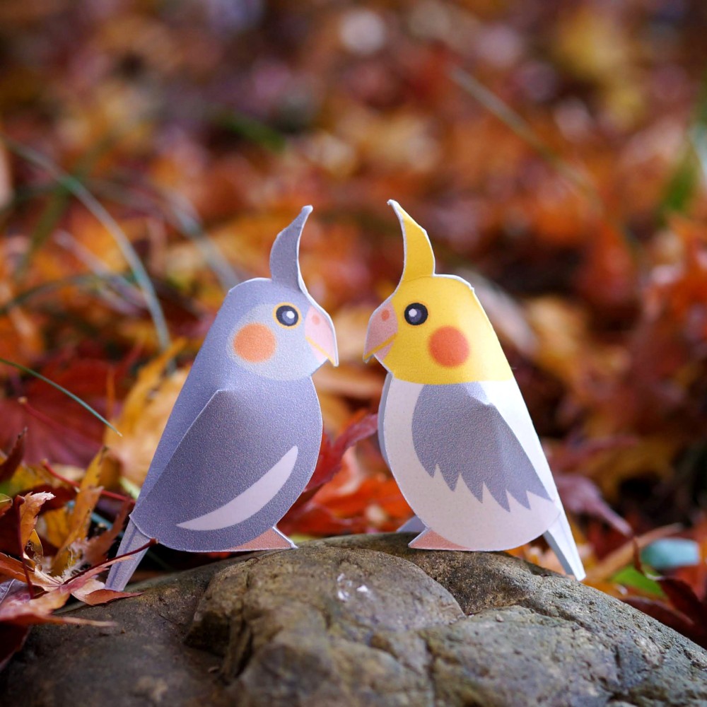 ミニオカメインコのペーパークラフト ポストカード 2枚 4羽
