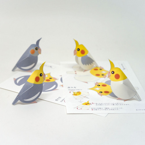 オカメインコさま専用ページ 雛情報 | オカメインコの販売専門店 BayBirds Yokohama | 神奈川