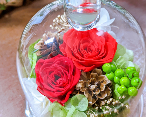 1_0bf1c59fd504c08b89023e7336a8