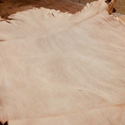 バガルアゴート フルベジ - Bagarua Goat - ヤギ革 天然皮革 Leather 植物タンニン鞣し Veg 1枚目の画像