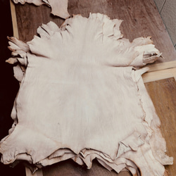 バガルアゴート フルベジ - Bagarua Goat - ヤギ革 天然皮革 Leather 植物タンニン鞣し Veg 3枚目の画像