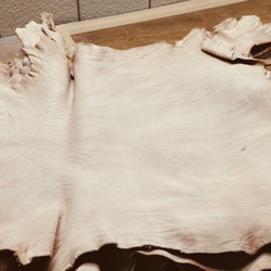 バガルアゴート フルベジ - Bagarua Goat - ヤギ革 天然皮革 Leather 植物タンニン鞣し Veg 5枚目の画像
