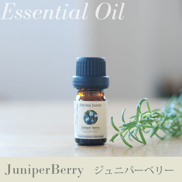 ジュニパーベリー精油3ml~ アロマオイルエッセンシャルオイル/ケモタイプ精油/Juniper Berry 1枚目の画像