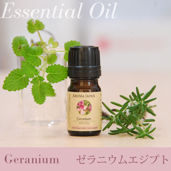 ゼラニウムエジプト精油3ml~　アロマオイル/エッセンシャルオイル/ケモタイプ精油/Geranium 1枚目の画像