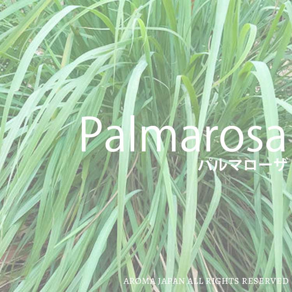 パルマローザ精油3ml~　アロマオイル/エッセンシャルオイル/ケモタイプ精油/Palmarosa 2枚目の画像