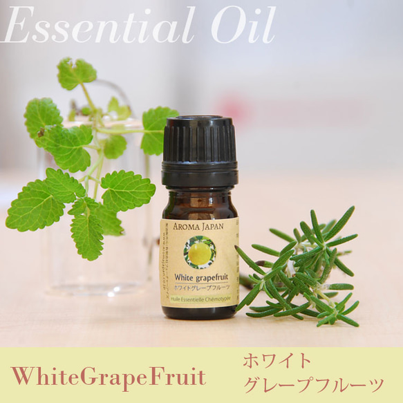 グレープフルーツホワイト精油3ml~　アロマオイル/エッセンシャルオイル/ケモタイプ精油/WhiteGrapefruit 1枚目の画像