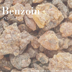 ベンゾイン精油3ml~ アロマオイル/エッセンシャルオイル/ケモタイプ精油/Benzoin/Essential Oil 2枚目の画像