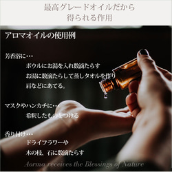 【ビタースウィート】オーガニックブレンド精油3ml～　スパイス系ブレンドアロマオイル　エッセンシャル 5枚目の画像